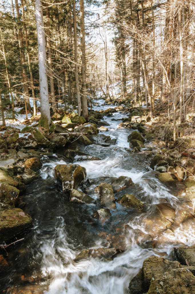 Wandern In Der Sau Bachklamm Im Bayerischen Wald Sophias Welt