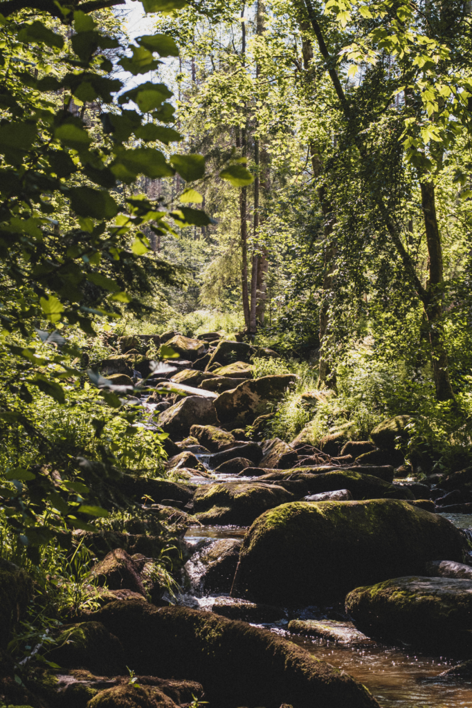 Wandern in der Saußbachklamm im Bayerischen Wald Sophias Welt