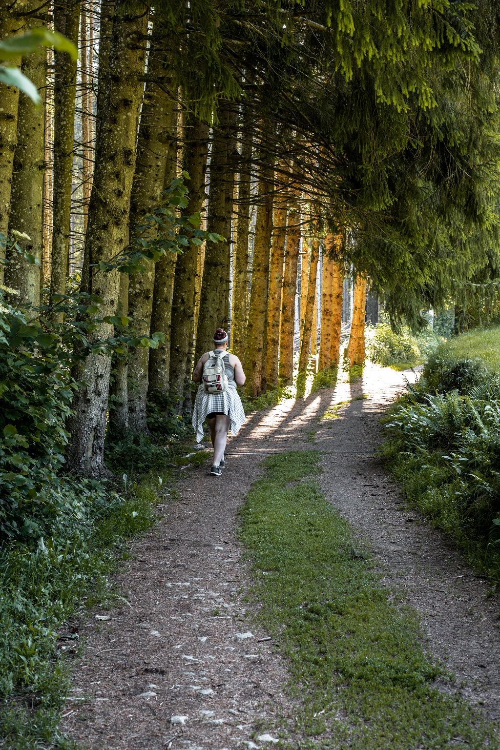 Wandern zu Saußbachklamm durch eine Allee