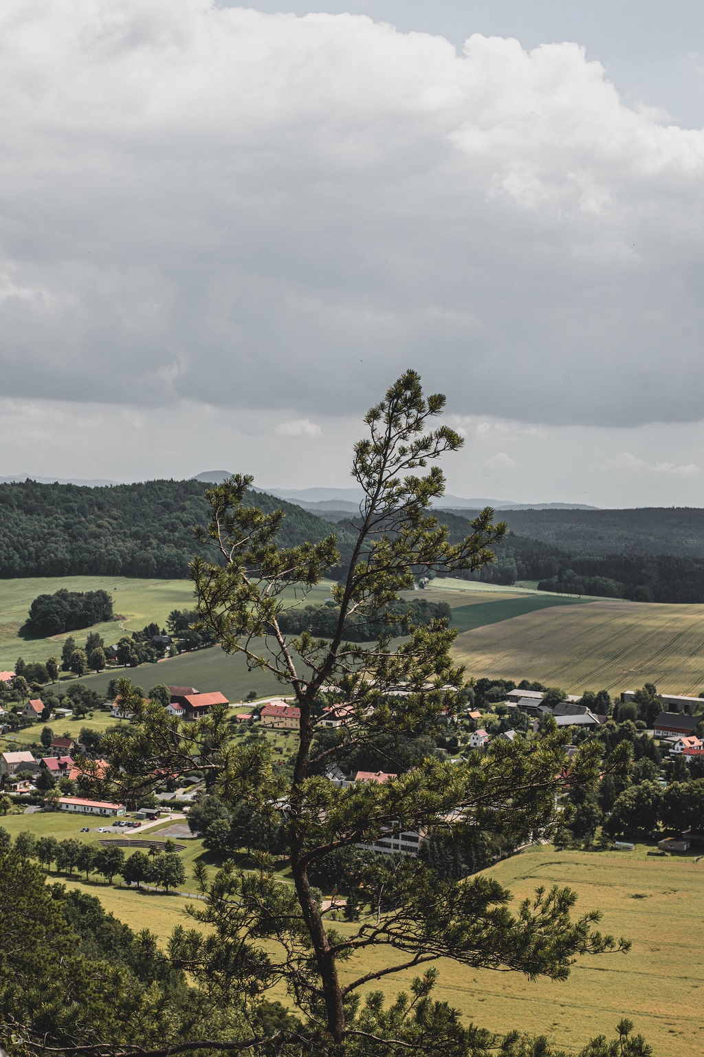 Blick auf die Sächsische Schweiz
