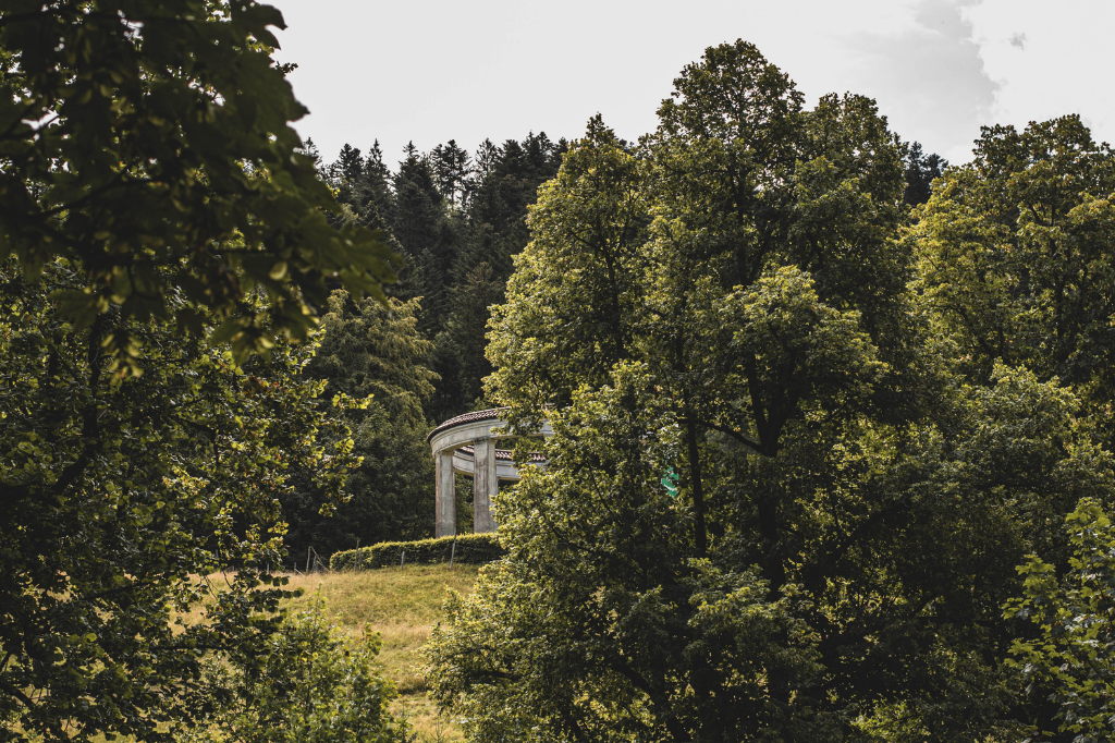 Wanderungen und Naturhighlights im Schwarzwald